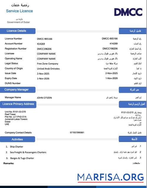 Realistic UAE Dubai service license Word and PDF template